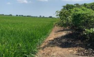 SE VENDE TERRENO EN TUMBES