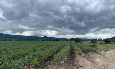 VENTA Rancho 107 Hectareas en Sta Rosa Xajay. Uso de suelo mixto