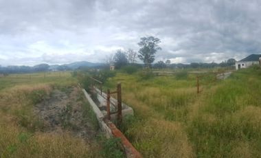 VENTA Rancho 107 Hectareas en Sta Rosa Xajay. Uso de suelo mixto