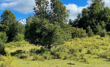 Extranjero por viaje vende Maravillosos Terrenos PUCON Condominio Calabozos El Claro