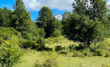 Extranjero por viaje vende Maravillosos Terrenos PUCON Condominio Calabozos El Claro