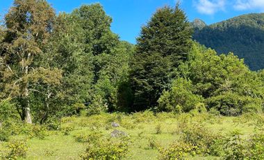 Extranjero por viaje vende Maravillosos Terrenos PUCON Condominio Calabozos El Claro