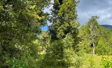 Extranjero por viaje vende Maravillosos Terrenos PUCON Condominio Calabozos El Claro