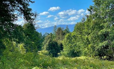 Extranjero por viaje vende Maravillosos Terrenos PUCON Condominio Calabozos El Claro