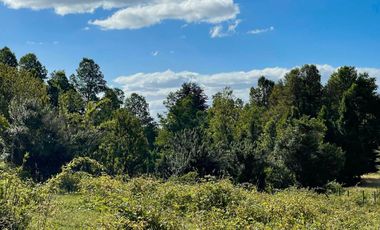 Extranjero por viaje vende Maravillosos Terrenos PUCON Condominio Calabozos El Claro