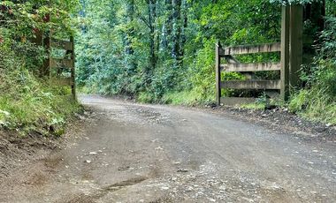 Extranjero por viaje vende Maravillosos Terrenos PUCON Condominio Calabozos El Claro