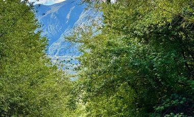Extranjero por viaje vende Maravillosos Terrenos PUCON Condominio Calabozos El Claro