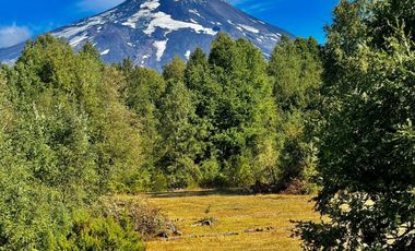 Extranjero por viaje vende Maravillosos Terrenos PUCON Condominio Calabozos El Claro