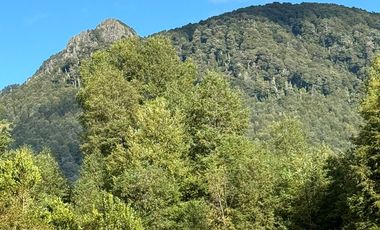 Extranjero por viaje vende Maravillosos Terrenos PUCON Condominio Calabozos El Claro