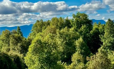 Extranjero por viaje vende Maravillosos Terrenos PUCON Condominio Calabozos El Claro