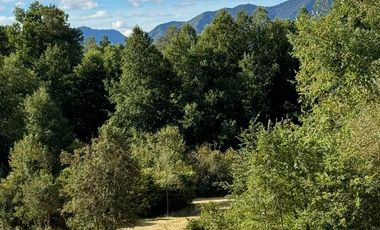 Extranjero por viaje vende Maravillosos Terrenos PUCON Condominio Calabozos El Claro