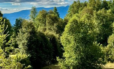 Extranjero por viaje vende Maravillosos Terrenos PUCON Condominio Calabozos El Claro