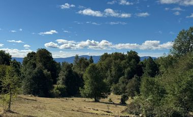 Extranjero por viaje vende Maravillosos Terrenos PUCON Condominio Calabozos El Claro