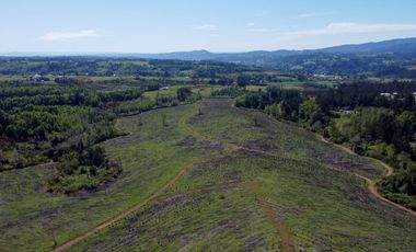 Campo en Temuco Subdividido en 135 lotes de 5000m² a 10 minutos de la ciudad