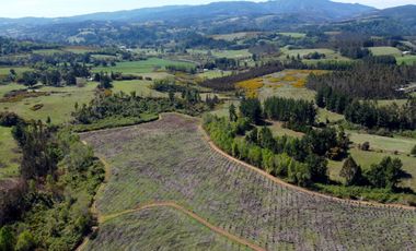 Campo en Temuco Subdividido en 135 lotes de 5000m² a 10 minutos de la ciudad