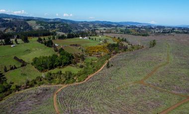 Campo en Temuco Subdividido en 135 lotes de 5000m² a 10 minutos de la ciudad