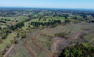 Campo en Temuco Subdividido en 135 lotes de 5000m² a 10 minutos de la ciudad
