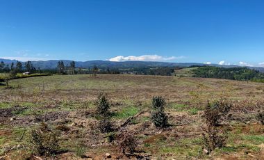 Campo en Temuco Subdividido en 135 lotes de 5000m² a 10 minutos de la ciudad
