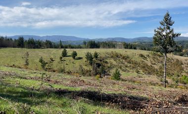 Campo en Temuco Subdividido en 135 lotes de 5000m² a 10 minutos de la ciudad