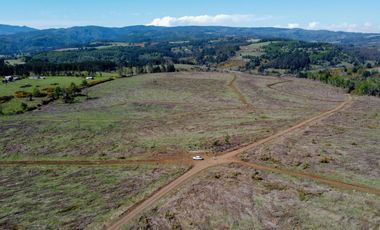 Campo en Temuco Subdividido en 135 lotes de 5000m² a 10 minutos de la ciudad