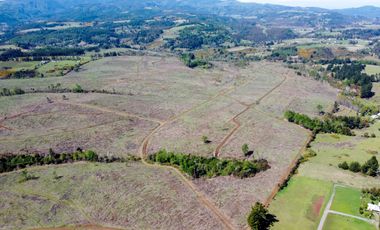 Campo en Temuco Subdividido en 135 lotes de 5000m² a 10 minutos de la ciudad