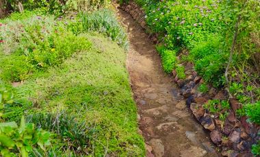 EXTRANJERO POR VIAJE VENDE CASA FRENTE A LAGUNA TORCA - MARAVILLOSO TERRENO
