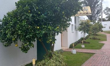 Espectacular Casa de Venta, doble seguridad en conjunto de 4 casas. LA VIÑA-TUMBACO