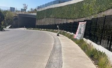 Venta de Terreno INCANTO - Bosque Real
