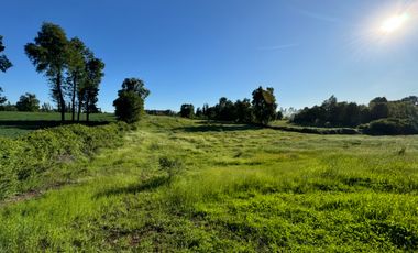 Lindo Campo Parcela de 3,7 hectáreas agrícolas San Miguel, Ñuble Región