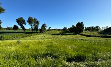 Lindo Campo Parcela de 3,7 hectáreas agrícolas San Miguel, Ñuble Región