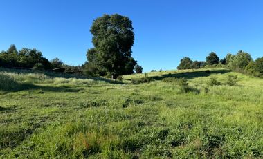 Lindo Campo Parcela de 3,7 hectáreas agrícolas San Miguel, Ñuble Región
