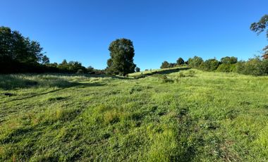 Lindo Campo Parcela de 3,7 hectáreas agrícolas San Miguel, Ñuble Región