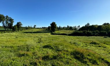 Lindo Campo Parcela de 3,7 hectáreas agrícolas San Miguel, Ñuble Región