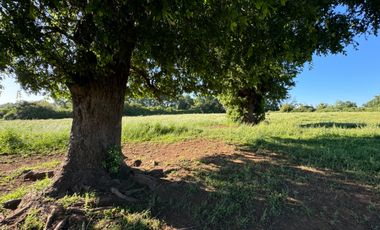 Lindo Campo Parcela de 3,7 hectáreas agrícolas San Miguel, Ñuble Región