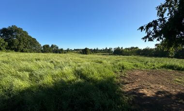 Lindo Campo Parcela de 3,7 hectáreas agrícolas San Miguel, Ñuble Región
