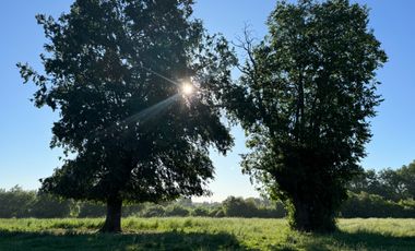 Lindo Campo Parcela de 3,7 hectáreas agrícolas San Miguel, Ñuble Región