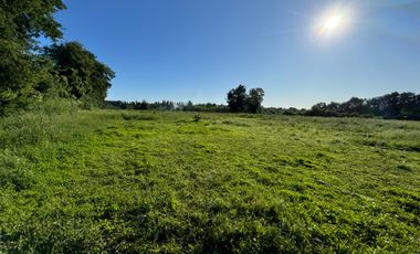 Lindo Campo Parcela de 3,7 hectáreas agrícolas San Miguel, Ñuble Región