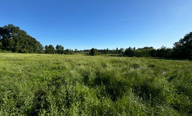 Lindo Campo Parcela de 3,7 hectáreas agrícolas San Miguel, Ñuble Región