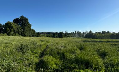 Lindo Campo Parcela de 3,7 hectáreas agrícolas San Miguel, Ñuble Región