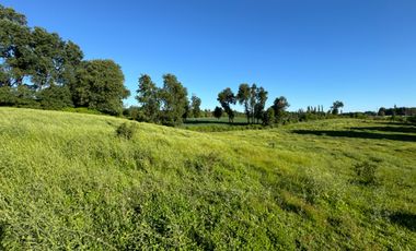 Lindo Campo Parcela de 3,7 hectáreas agrícolas San Miguel, Ñuble Región