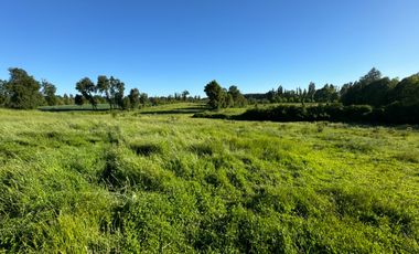 Lindo Campo Parcela de 3,7 hectáreas agrícolas San Miguel, Ñuble Región