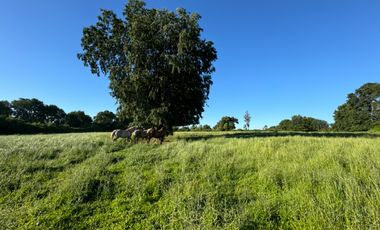 Lindo Campo Parcela de 3,7 hectáreas agrícolas San Miguel, Ñuble Región