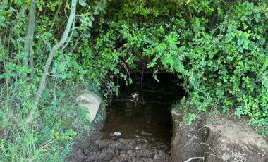 Lindo Campo Parcela de 3,7 hectáreas agrícolas San Miguel, Ñuble Región