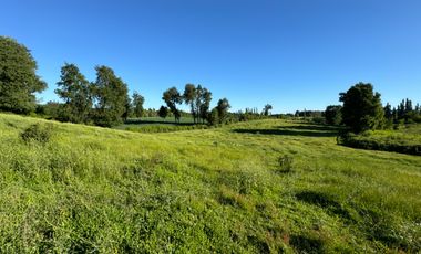 Lindo Campo Parcela de 3,7 hectáreas agrícolas San Miguel, Ñuble Región