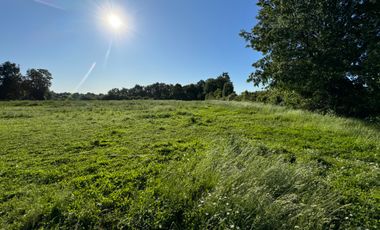 Lindo Campo Parcela de 3,7 hectáreas agrícolas San Miguel, Ñuble Región