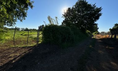 Lindo Campo Parcela de 3,7 hectáreas agrícolas San Miguel, Ñuble Región