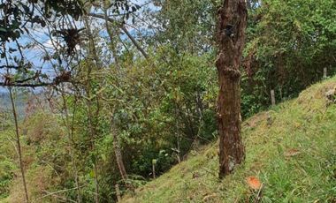 EXCELENTE LOTE ARBELAEZ CUNDINAMARCA