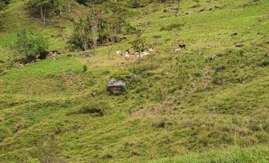 EXCELENTE LOTE ARBELAEZ CUNDINAMARCA
