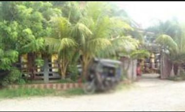 𝐏𝐑𝐎𝐏𝐄𝐑𝐓𝐘 𝐅𝐎𝐑 𝐒𝐀𝐋𝐄  𝐢𝐧  Brgy. Macanaya, Aparri, Cagayan