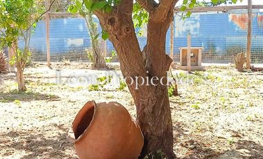 Leon Propiedades vende  casa en sitio en Sector Lo Águila.